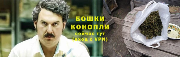 молекула духа Переславль-Залесский
