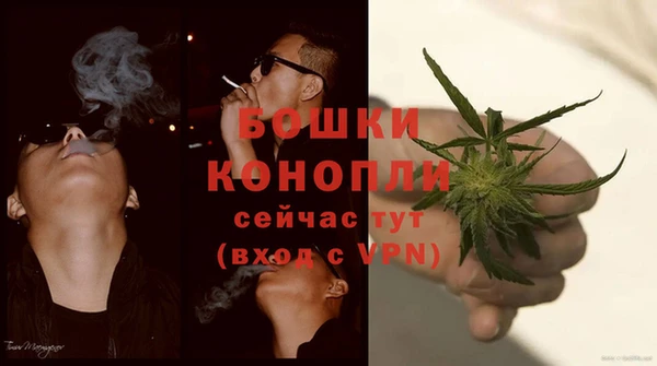 молекула духа Переславль-Залесский