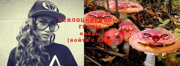 mix Пестово