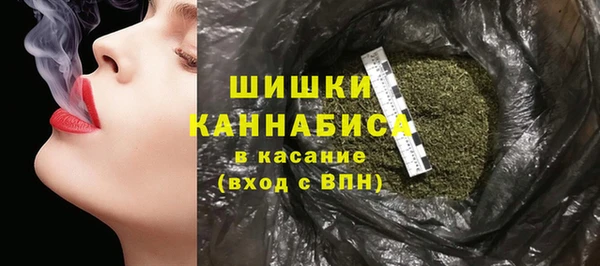 дурь Каменногорск