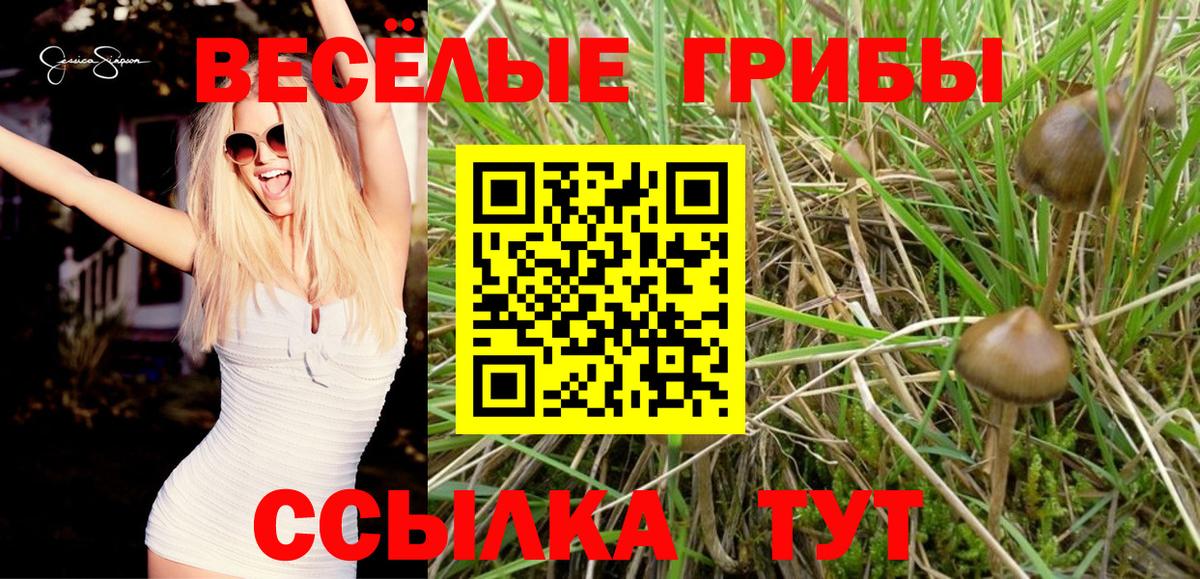 Псилоцибиновые грибы мухоморы  магазин  наркотиков  Вход с VPN  Полевской  Галлюциногенные грибы ЛСД 