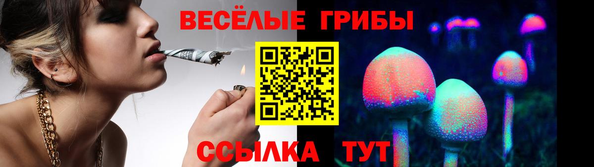 Галлюциногенные грибы мицелий Полевской